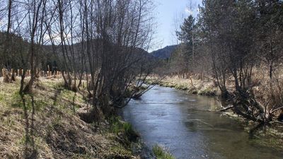 A 72-year-old man inherited nearly 900 acres from his uncles; after decades restoring the forest, he gave the land to a Native American tribe