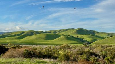 A California ranch was marked for a 403-acre quarry; after 10,000 objections, a land trust paid $23 million to stop development