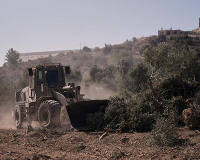 Commons breathes sigh of relief as UK finally takes a moral stance on Israeli settlements