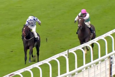 Phil Foden’s horse creates British racing history with huge Goodwood upset