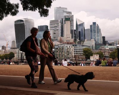 Yes, cut red tape. But shareholder votes on boardroom pay are not ‘pointless admin’