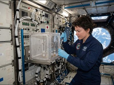 In 2015, fruit flies were sent to International Space Station to study how microgravity and the space environment affect the innate immune system