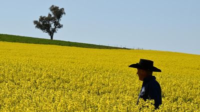 Farmers demand fair go in fight with fossil fuel giants