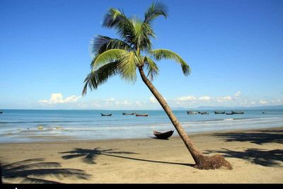 Travel firm ads banned over misleading ‘eco’ hotel claims