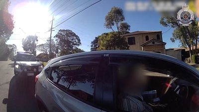 P-plater caught driving while buttering a bagel