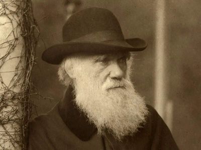 Quote of the day by Charles Darwin: ‘What wretched doings come from the ardor of fame; the love of truth…’ – Theory of evolution’s pioneer on ambition, rivalry and the pursuit of truth