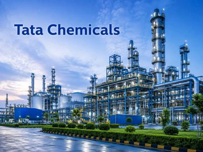 Tata Chemicals sets up high-level committee to decide on Kenya operations