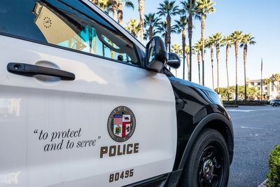 Tree-trimming job turns terrifying as chainsaw-wielding man is shot by LAPD