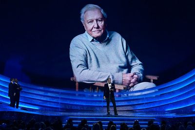 Sir David Attenborough wins NTA aged 100: ‘Now the natural world needs us too’