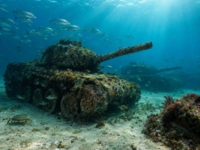 New Jersey sank 397 obsolete army tanks and armored vehicles from 1994 to 1997 in 40 to 140 feet of water; a five-year study found 432,000 animals of 145 species per square metre of reef habitat