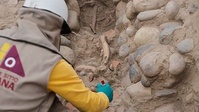 Watch: Archaeologists uncover 38 skeletons at ancient Peru citadel