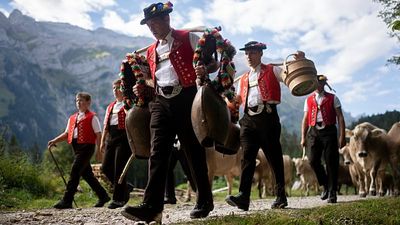 Flower-crowned cows bring Alpine tradition to Gstaad festival