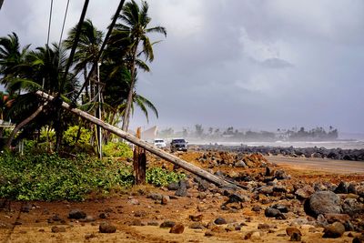 Hurricane Lowell: Hawaii battered by severe gales and heavy rain