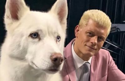 WWE icon Cody Rhodes heartbroken after death of beloved dog Pharaoh