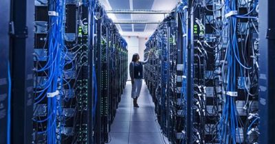 AI researcher quits job warning companies are 'gambling with our lives'