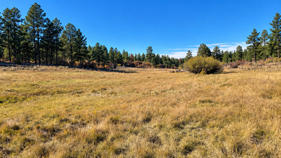 Colorado family protects 684-acre ranch after 90 years; old cabin was ranger post