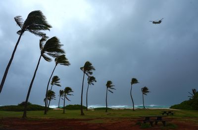 Hurricane Lowell Leaves One Dead and Kauai in the Dark: What to Know About Hawaii's Recovery