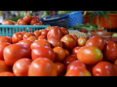 California researchers mixed discarded tomato waste into soil and covered it for biosolarization. The decomposing food waste raised temperatures by about 2°C and created conditions that could help kill soil pests