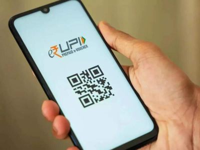 India seeks payment-system links in every FTA, Commerce Secy says: Report