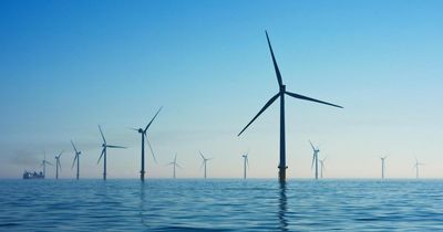 Campaigners call for Scandi-style wealth fund from ScotWind money