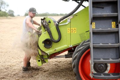 Why British farming has ‘endured its most difficult summer in a generation’