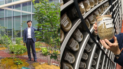 South Korea's underground seed vault could help crops survive future heat