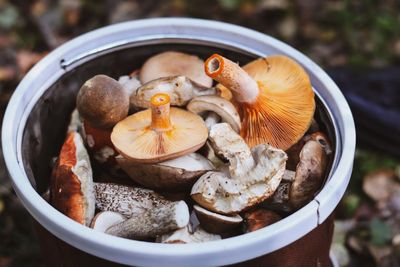 Why Supermarkets Are Suddenly Obsessed With Functional Mushrooms