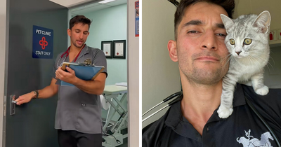 Vet Shares The Most Ridiculous Pet Names He’s Heard After Years In The Business: “Patricia? This Is Not Okay”