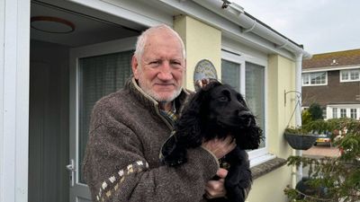 Dog refuses to leave before a mini tornado hits Cornish village, saving owner's life