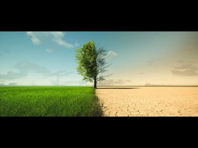 From farm ponds to AI chatbots: India's blueprint for revitalising dryland agriculture