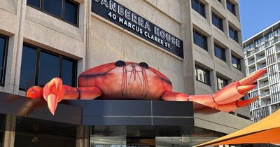 Why a giant inflatable crab is perched over a Civic doorway