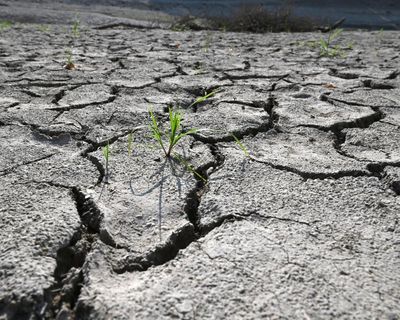World must reject climate culture wars or face economic ruin, says UN’s Stiell
