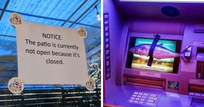 The Internet Is Still Going Strong And Is Serving You These 67 Hilarious Photos