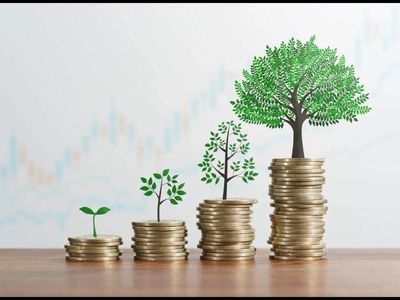 Best flexi cap mutual funds to invest in September 2026