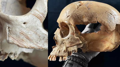 Spanish caves reveal repeated cannibalism, from violence to skull cups