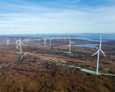 Climate solutions most likely to reach ‘positive tipping points’ revealed by scientists