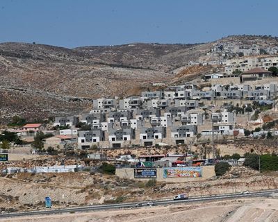 Husic urges ‘concrete action’ on Israeli settlements in West Bank after Australia declines to join trade ban