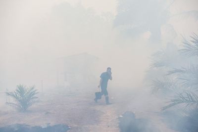 Climate ‘feedback loops’ could worsen global warming by 30%, study finds