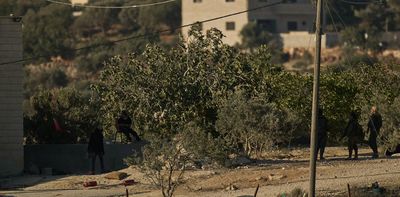 ‘Blood olives’: the hurdles in enforcing UK’s ban on trade with illegal Israeli settlements
