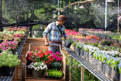 10 End-of-Season Garden Deals Worth Watching for in September