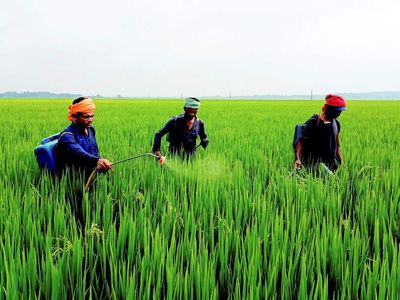 Productivity enhancement may lead to further reduction in agriculture sector NPA: Nabard Chairman