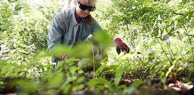 To control weeds in your garden, late summer and early fall is the best time to make a difference