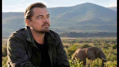 Leonardo DiCaprio's Re:wild used 90 countries to fight ecosystem loss through local partnerships; its work still spans 590 million acres in active conservation worldwide
