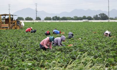 Newsom Has the Chance to Stand Up for Farmworker Wages