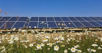 Scottish solar farm should be approved despite backlash, council officials say