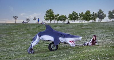 How a Canberra artist conquered her lifelong fear by hauling a shark up a mountain