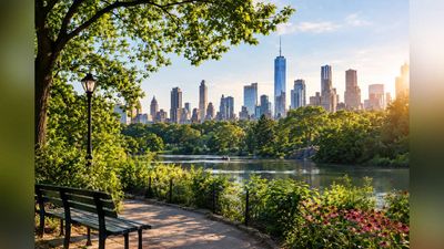 In 1995, Bette Midler founded 1 nonprofit, NYRP to restore neglected parks across New York. 30 years later, it had planted 200,000+ trees and renovated 300+ green spaces