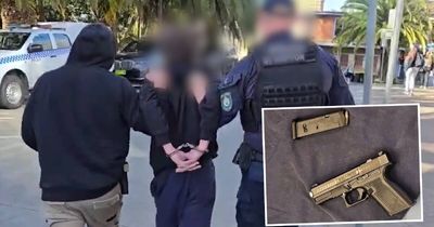 Anti-bikie squad swoops on alleged gunman at train station