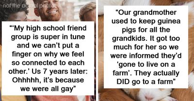 64 People Share Wild Delayed Plot Twists From Their Own Lives They Couldn’t Prepare For