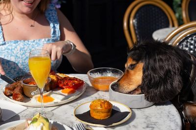 Doggy caviar, roasts and cocktails: How dogs became Britain’s new fine diners
